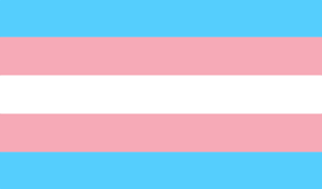 Transneumasc Queer Dictionary (Genders)